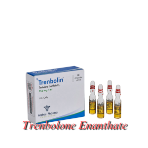 Trenbolin (ampoules) - Trenbolone enanthate