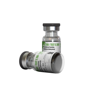 EQ 200 / Test E 200 - Boldenone undecylenate (Equipose) , Testosterone enanthate
